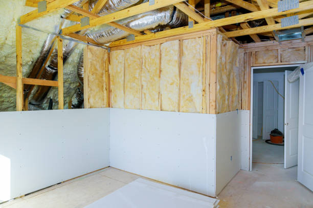Best Cellulose Insulation in Dano, CO