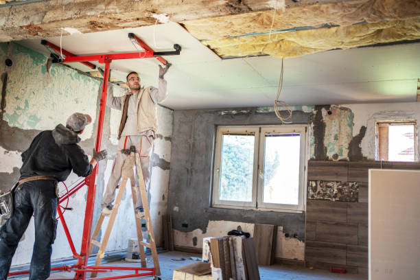 Best Eco-Friendly Insulation in Dano, CO