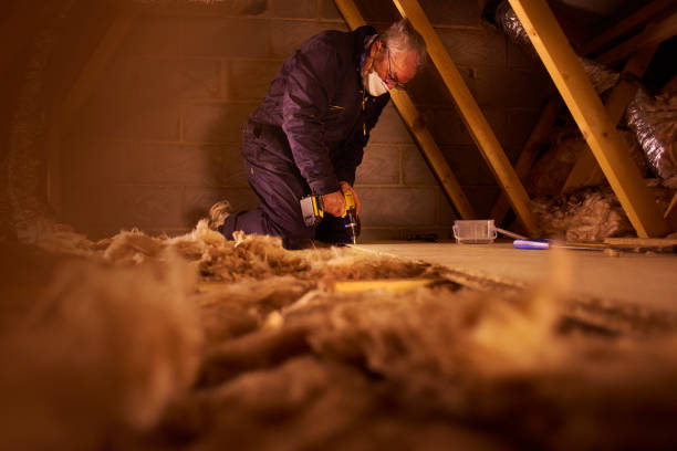 Best Geographic-Specific Insulation Services in Dano, CO